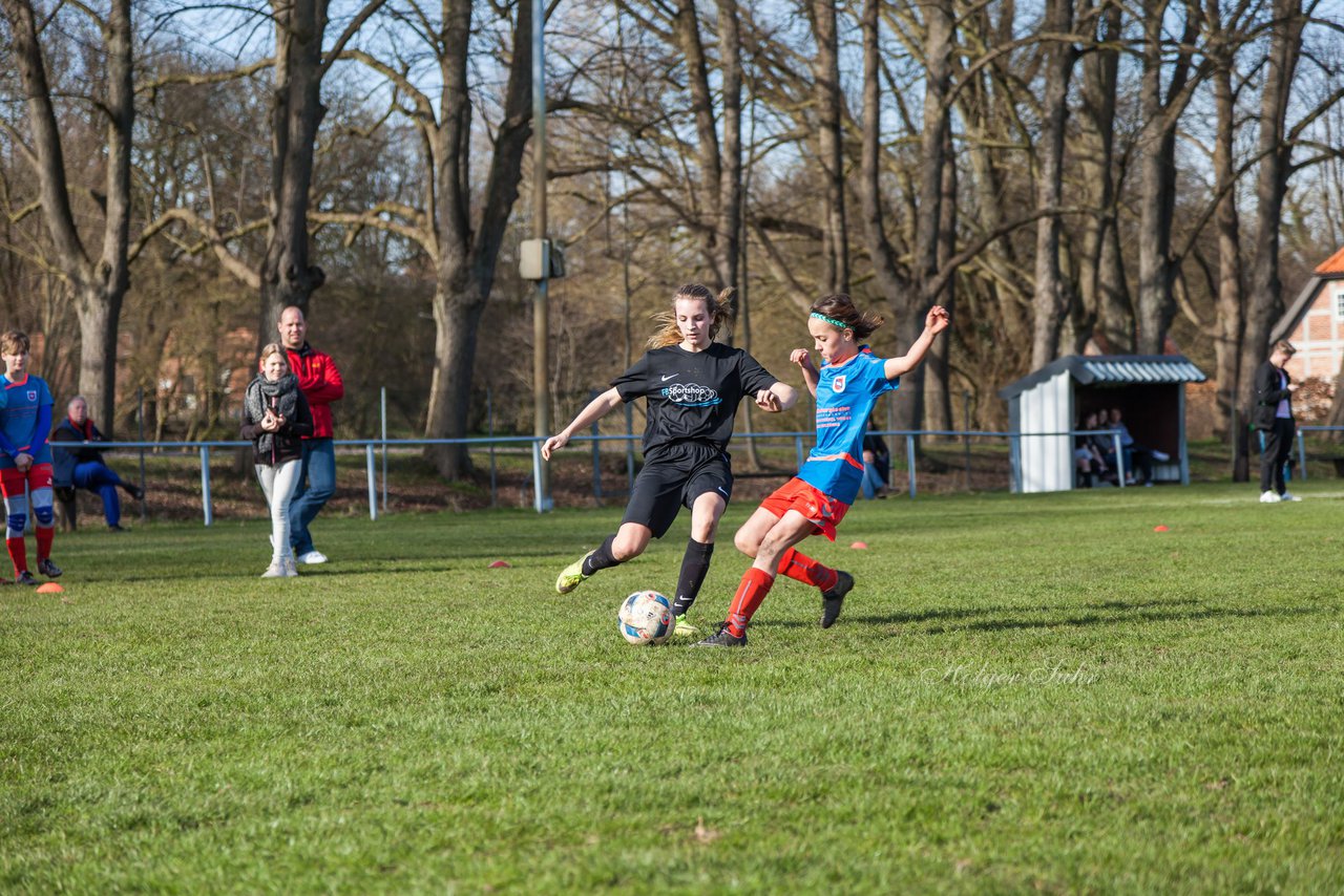 Bild 268 - C-Juniorinnen SV Steinhorst/Labenz - TSV Friedrichsberg-Busdorf : Ergebnis: 5:0